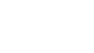Elsever